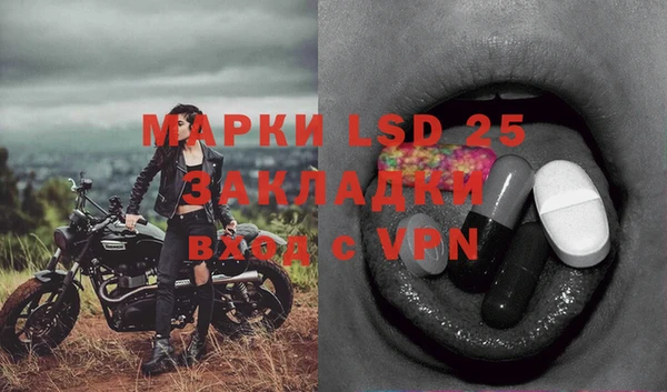 спайс Осинники