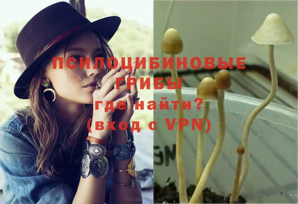 спайс Осинники