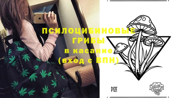 стаф Остров