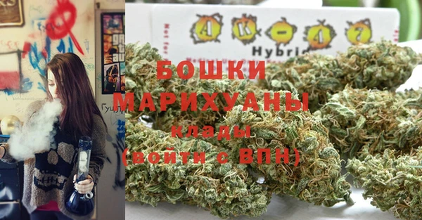 спайс Гвардейск