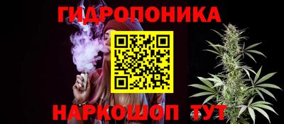крисы Ливны