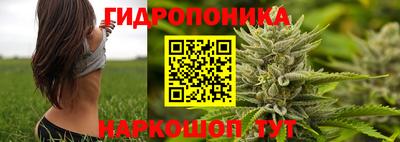 крисы Ливны