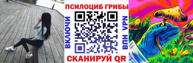 купить наркоту  Полысаево  Псилоцибиновые грибы Magic Shrooms 