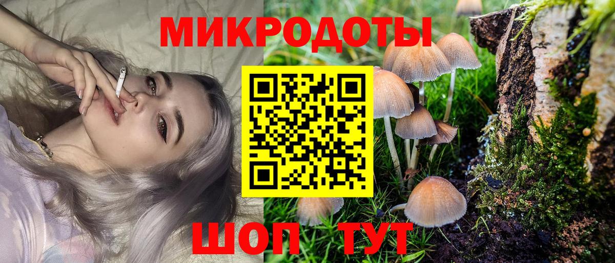 Полысаево  Псилоцибиновые грибы Cubensis  Вход с VPN 